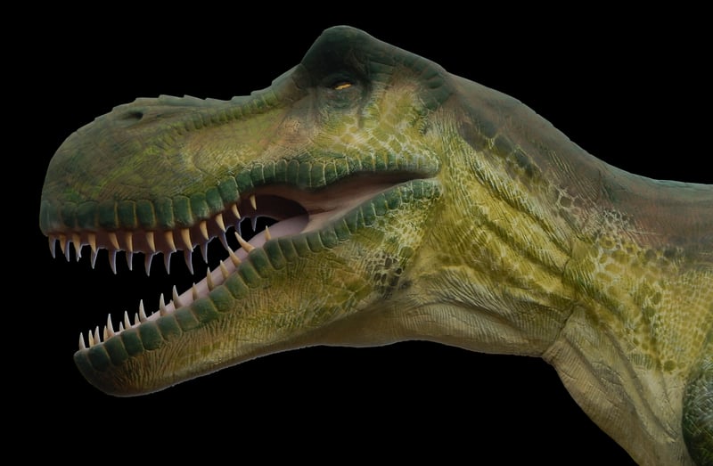 Dinosaur